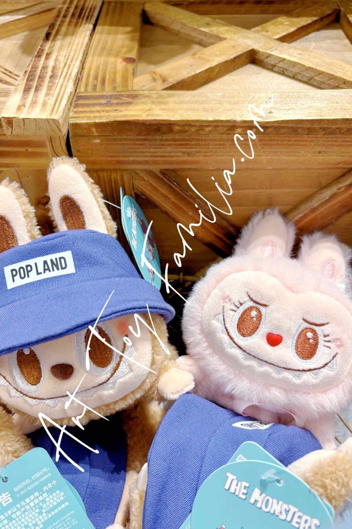 Popmart_The_Monsters_Labubu_St