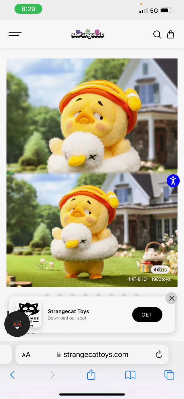 Upset Duck