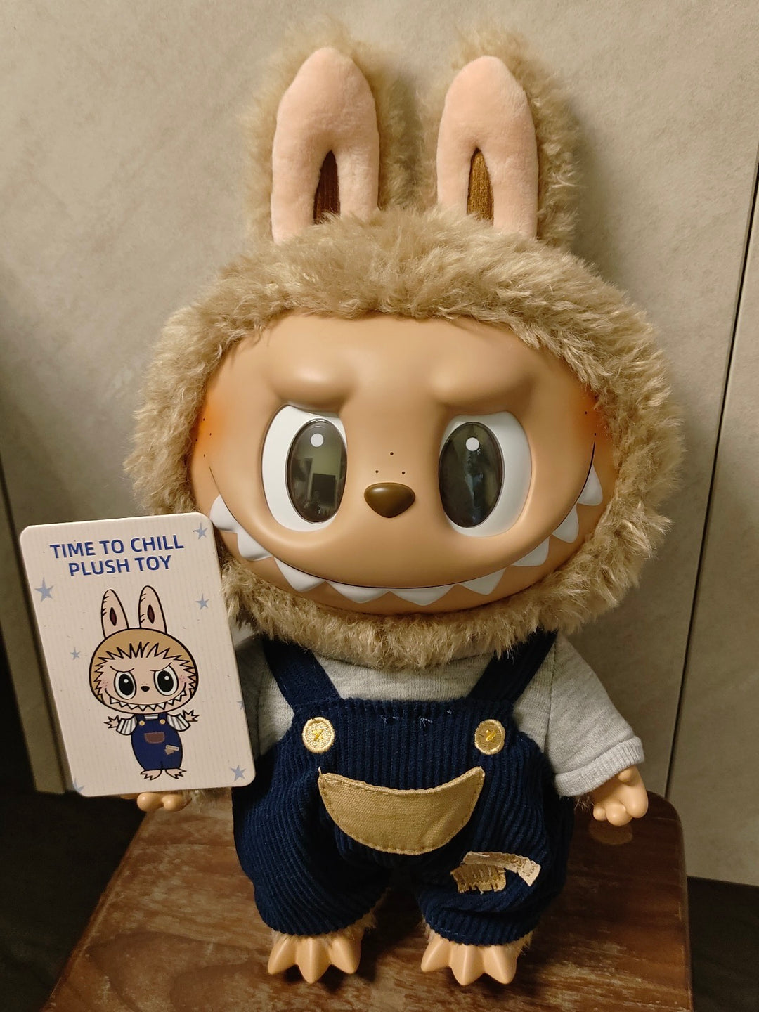 Pop Mart Labubu Time to Chill Vinyl Plush Doll Front