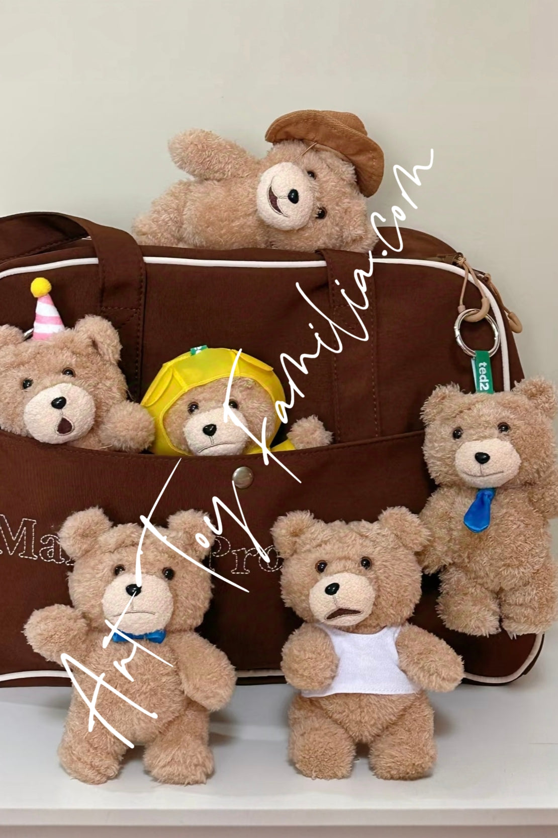 Popmart Ted2 Teddy Bear Action Plush Pendant Series Full Set