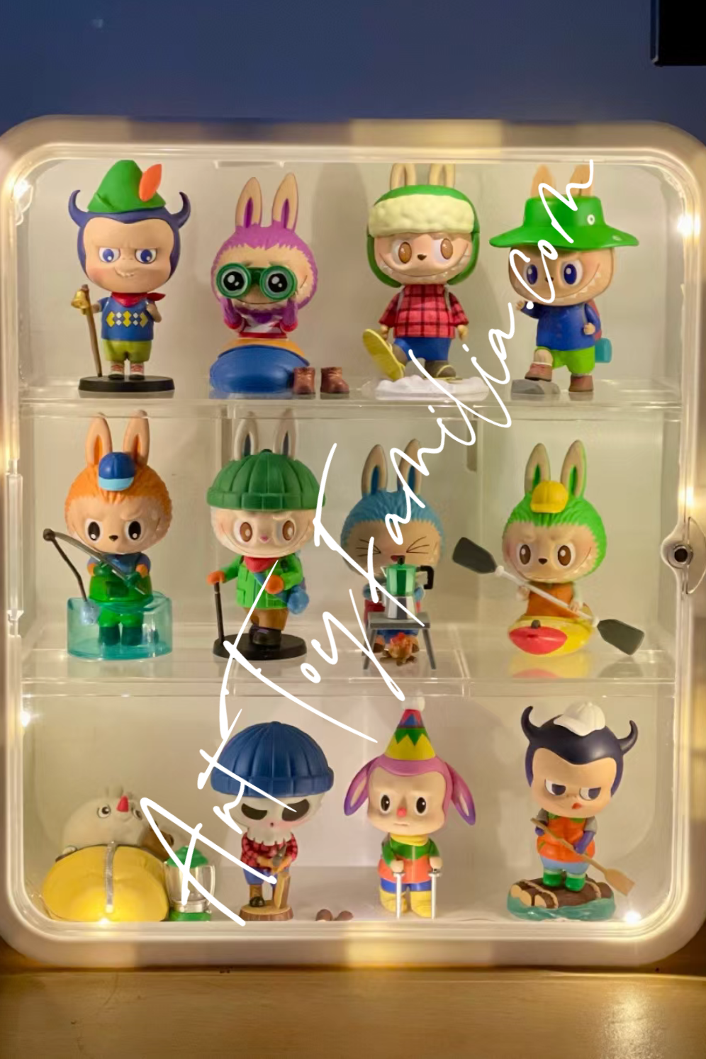 pop mart The Monsters Labubu Camping Series blind box full set